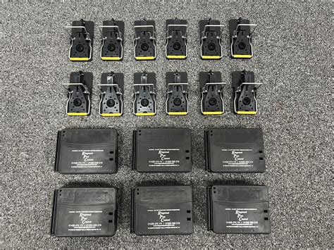 Mice Removal Services | Ringwood Pest Control