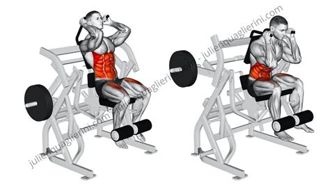 Crunch machine : How to do this exercise for abs
