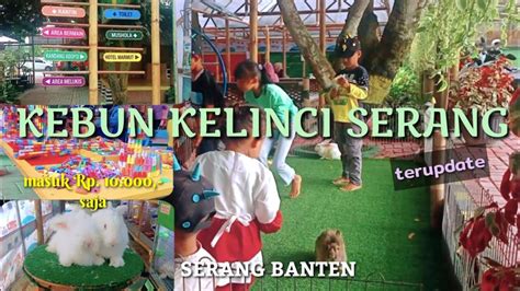 Kebun Kelinci Serang Serang Banten Youtube