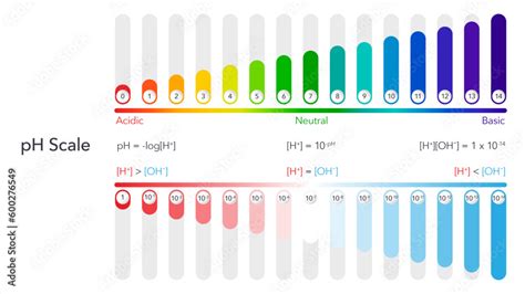 pH scale scientific vector illustration infographic Stock Vector ...