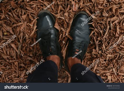 175 Wingtip Oxfords Images, Stock Photos & Vectors | Shutterstock