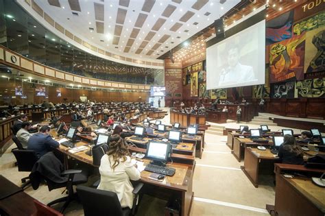 Elecciones En Ecuador Entre Pandemia Y Crisis Económica Latinoamérica 21