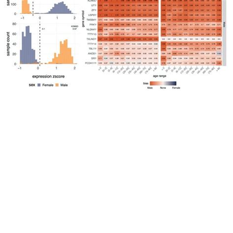 Sex Bias Of Gene Expression Across Age Groups A Distribution Of Male Download Scientific