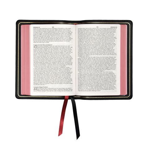 Steadfast Limited: NASB Large Print Compact - Edge-Lined Goatskin — 316