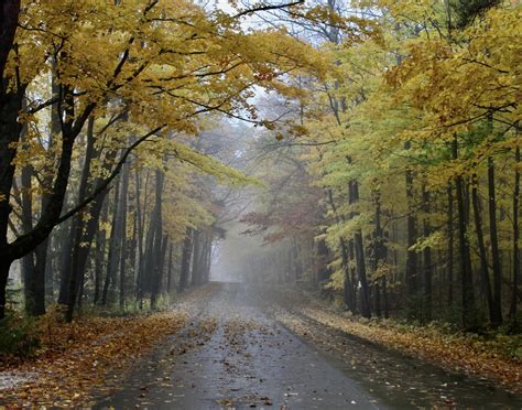 Hiking at Silver Springs State Park, Yorkville – Windings to Unwind