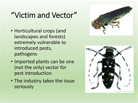 PPT Horticultural Industry PartnershipsChallenges And Success