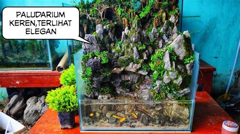 Membuat Paludarium Tema Gunung Youtube