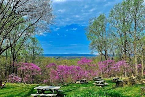 19 Best Wineries in Northern Virginia - Virginia Vacation Guide