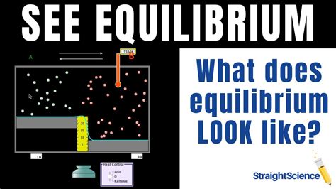 How To Visualize Equilibrium Using The Phet On Reversible Reactions