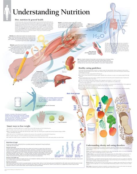 Understanding Nutrition | Scientific Publishing