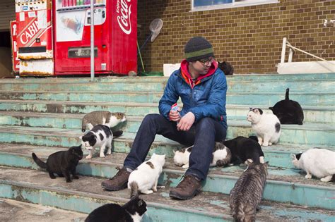 Cat Island, Japan's Famous Tashirojima