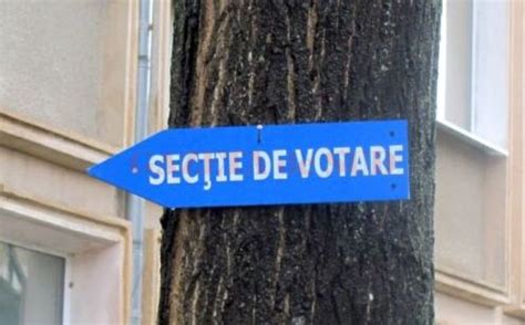 politist muscat de  femeie la  sectie de votare din comuna cerat
