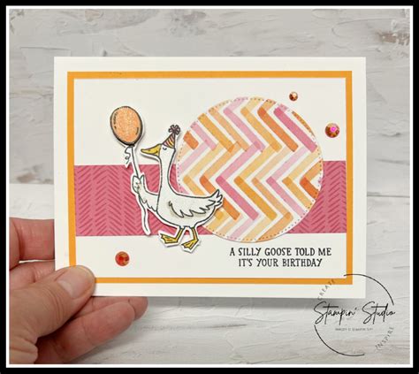 Silly Goose 2 Cards Same Lay Out Stampin Studio