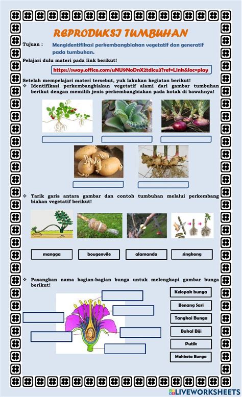 Ipa Reproduksi Tumbuhan Worksheet Live Worksheets