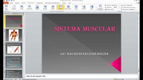 Sistema Muscular Youtube