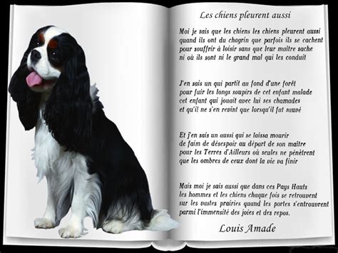 Poemes Pour Chiens Et Chats