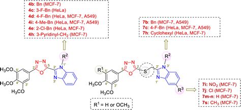 Design Synthesis And Cytotoxicity Evalufation Of Substituted