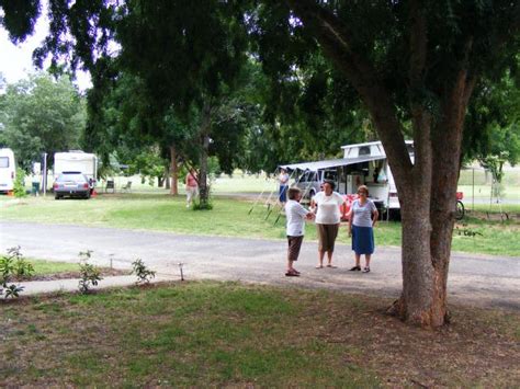 Rivergums Caravan Park - Goondiwindi