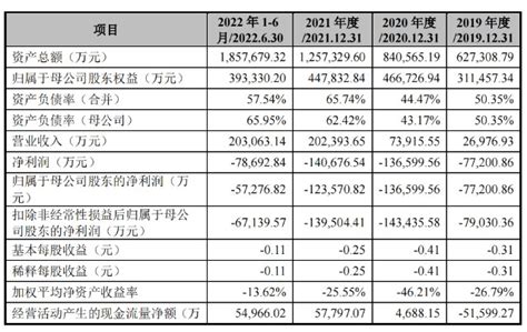 背靠中芯国际，4年或亏损48亿，中芯集成以500亿市值ipo？财富号东方财富网