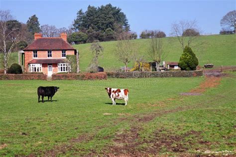 An English Rural Landscape with Farm Stock Photo - Image of peace, farming: 18676276