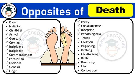 Opposite of Death, Antonyms of Death (Example Sentences) - EngDic