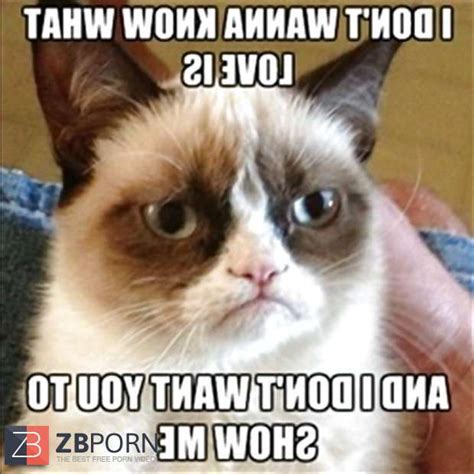 Some Grumpy Vagina And Xmas Jokes ZB Porn