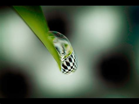 Close Up Photography Water