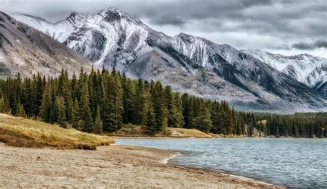 johnson lake shutterbug