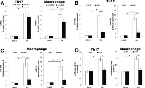 Ga Activated Ahr Induces The Expression Of Mir Cluster The Cd