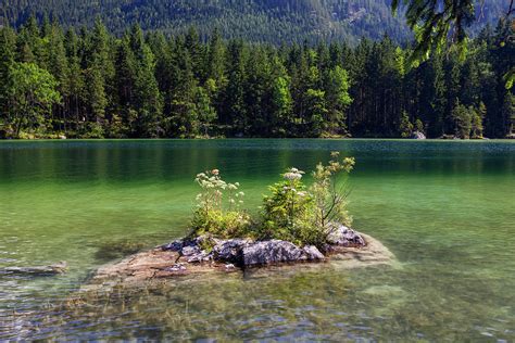 Small Island In Hintersee Ramsau Berchtesgadener Land Upper Bavaria