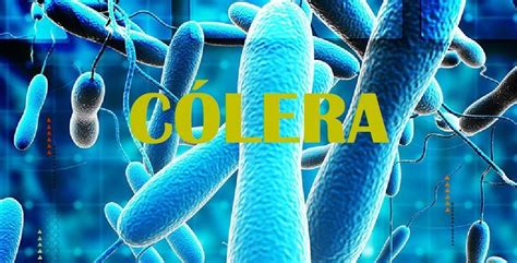 Significado Da Palavra Cólera - Cólera: Saiba mais | Dra. Keilla Freitas