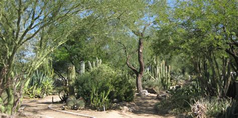 Visit Xeriscape Demonstration Garden In Glendale Phoenix Valley Review