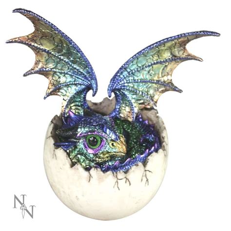 Nemesis Now Imoogi Dragon Figurine U3003H7 - Dragons from Hillier ...