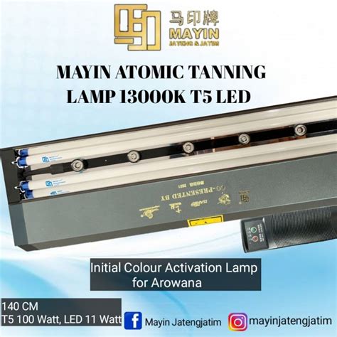 Lampu Atomic Mayin Tanning T K Led Biru Ikan Hias Arowana Arwana