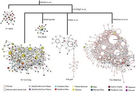 Dienekes’ Anthropology Blog: Origins and dispersals of Y-chromosome ...