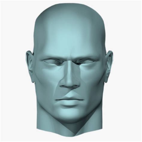 Modelo 3d Cabeza Masculina TurboSquid 340124