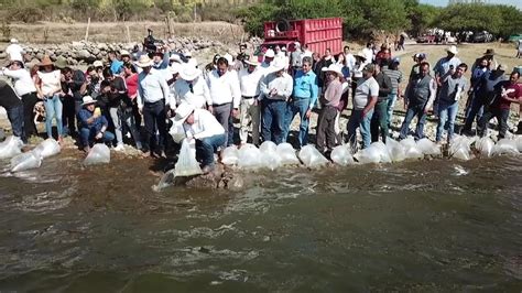 Cosecha De Agua En Presas Genera Buenas Expectativas Para El Ciclo