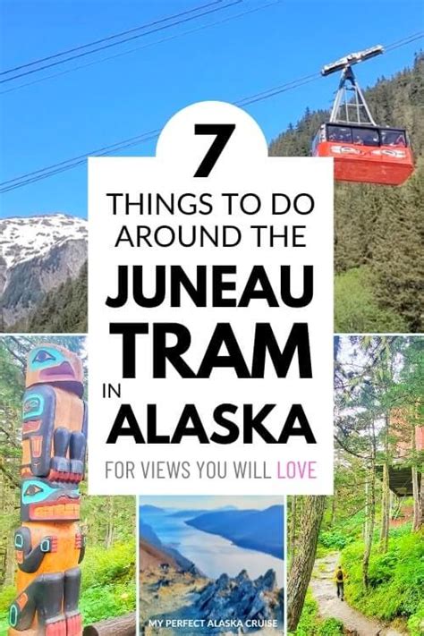 Goldbelt tram from Juneau cruise port! 7 things to do around the Mount ...