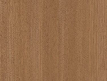 Naked Wood Belbien Hume Internationale