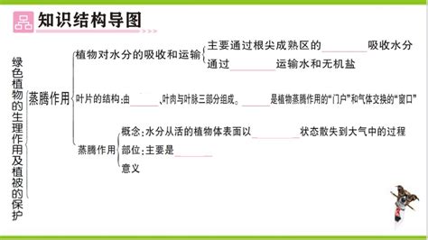 【掌控课堂 创优作业】人教版生物七上第三单元 第三~六章总结训练 课件版 21世纪教育网