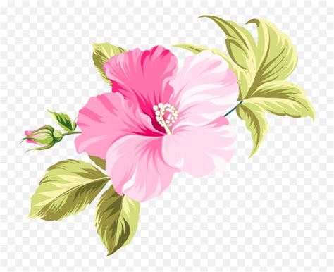Flower Hawaii Clip Art Pink Flower Vector Pnghawaiian Flowers Png