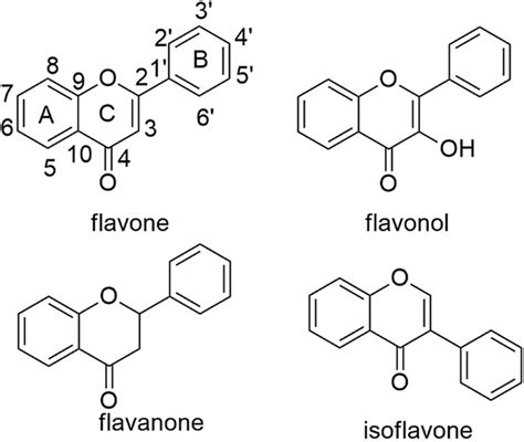 The Main Subclasses Of Flavonoids Flavones 1 Flavonols 2