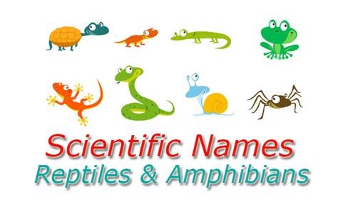 Scientific Names - Reptiles and Amphibians - AppzOK