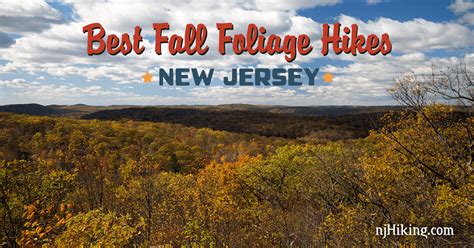 Best Fall Foliage Hikes in New Jersey | njHiking.com