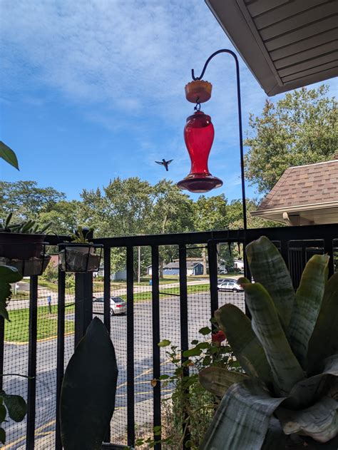 how to get cigar smell out of car 10