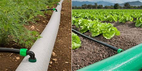 Mangueras Planas Salidas Preperforadas E Instalaci N Lista