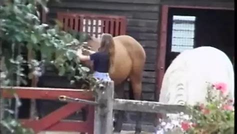 Buttman S Anal Divas Full Movie Feat Jazmine Rose Xhamster