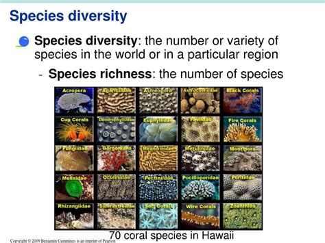 Ppt 009 Biodiversity And Conservation Biology Powerpoint Presentation