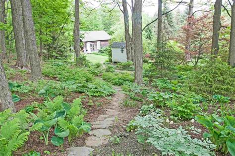 Low Maintenance Hillside Landscape Ideas — Randolph Indoor And Outdoor Design