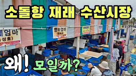 강릉 자연산 어시장 혼자만 알고 싶은 숨겨진 천막 재래 수산시장 엄청난 가성비 횟감 한가득 Korean fish market